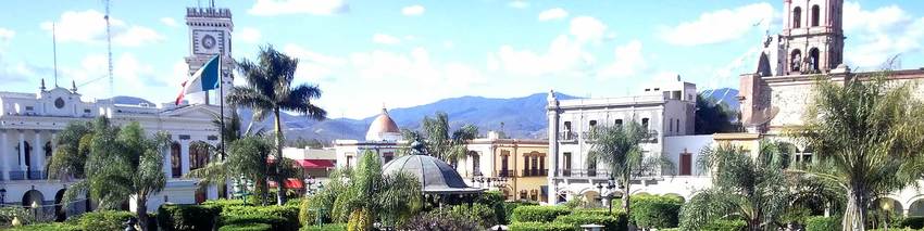 Ameca