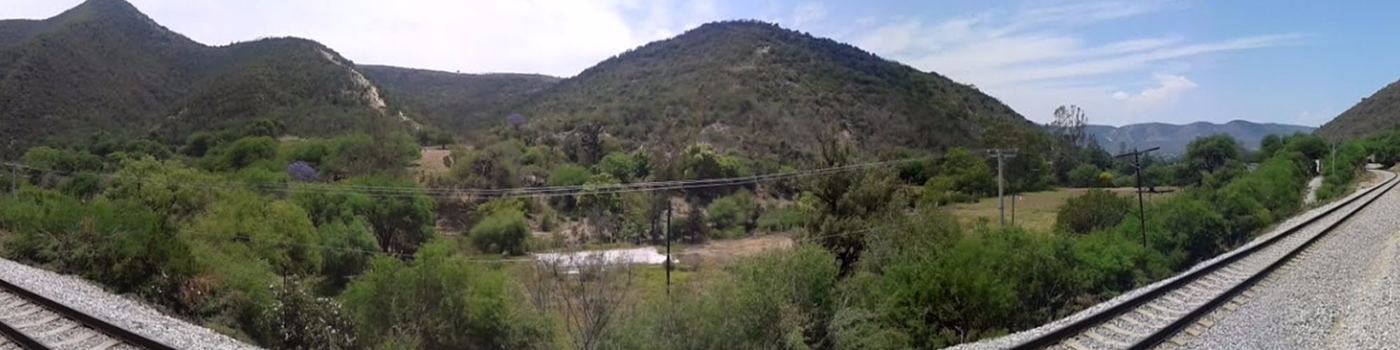 Cardenas