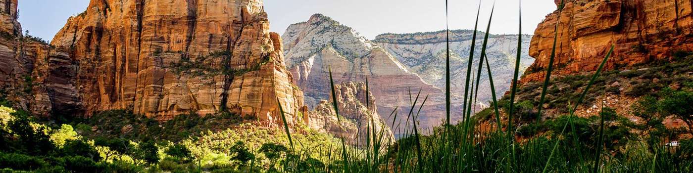 Cedar City