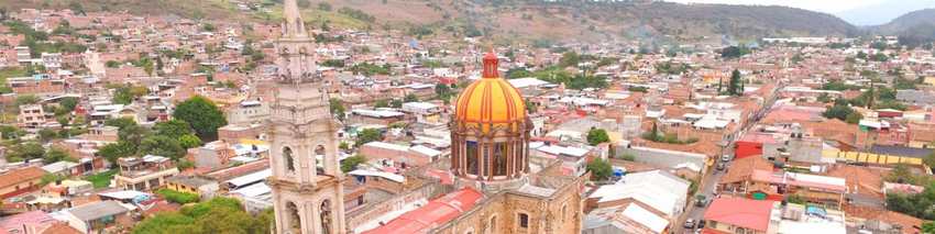 Cotija