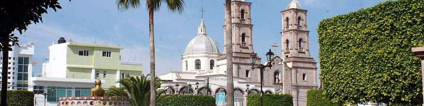 Grupo Flecha Amarilla