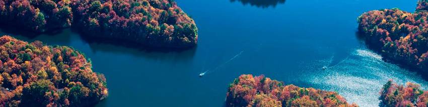 Gainesville