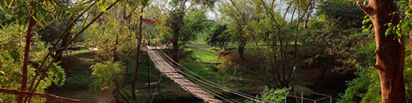 Matlapa