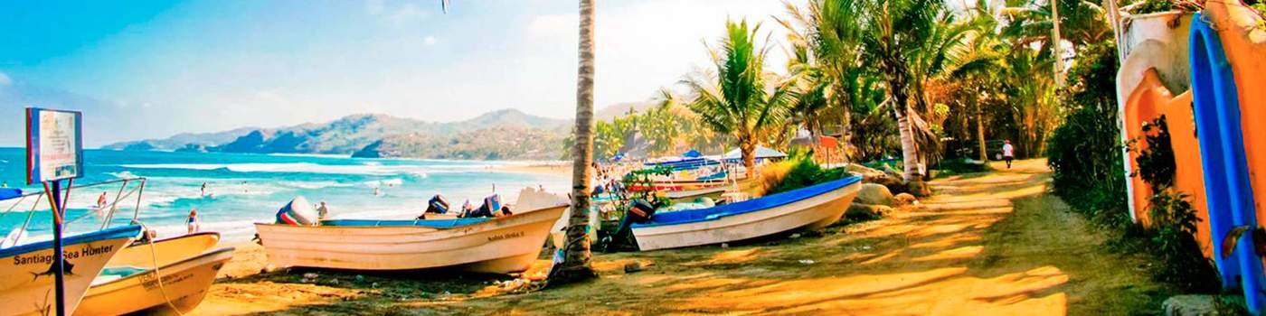 Vallarta Plus