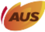 Autobuses AUS Semi-Directo